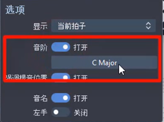 图2：选项界面